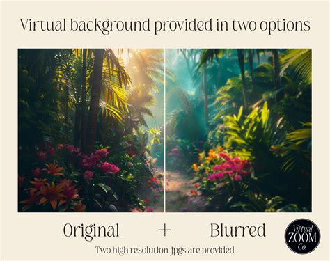 Meeting Background 的图像结果