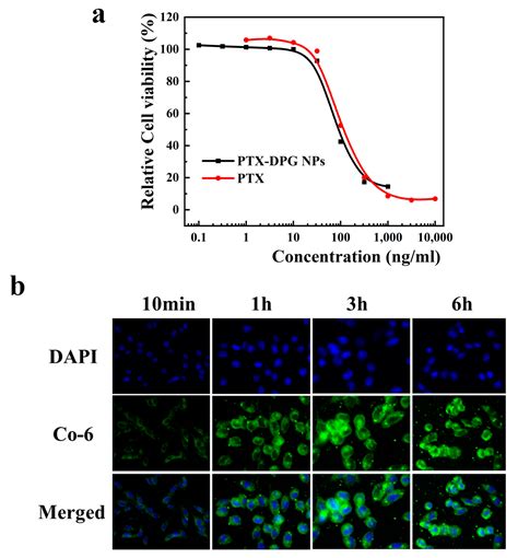 A γ-Glutamyl Transpeptidase (GGT)-Triggered Charge Reversal Drug-Delivery System for Cervical ...