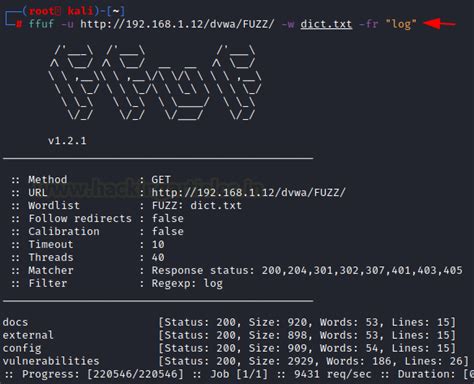 Comprehensive Guide on ffuf