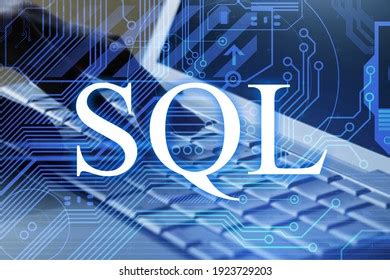 SQL Programming Course 的图像结果
