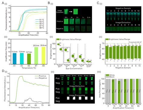 Rapid On-Site Detection of SARS-CoV-2 Using RT-LAMP Assay with a ...