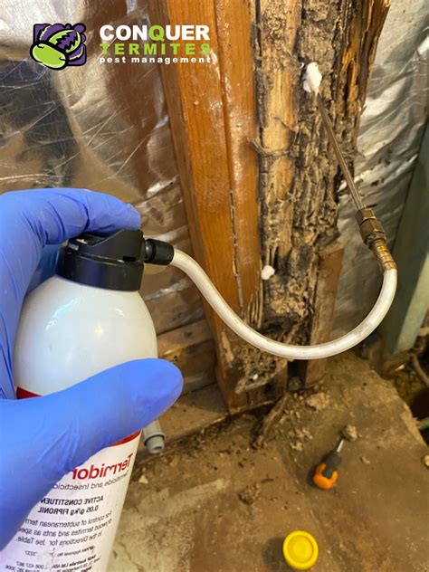 Termidor Foam - great way to kill termites - Brisbane Australia | Conquer Termites : Brisbane ...