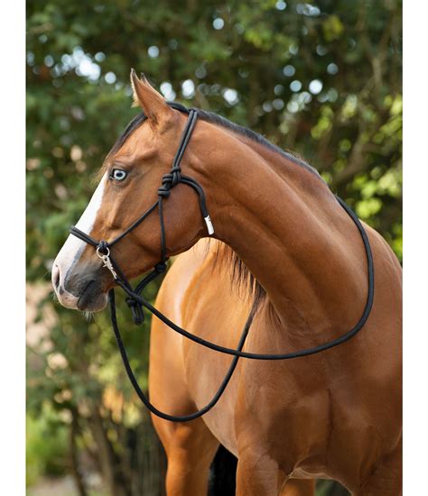 Rope Halter with Reins - TWIN OAKS Horse Equipment - Kramer Equestrian