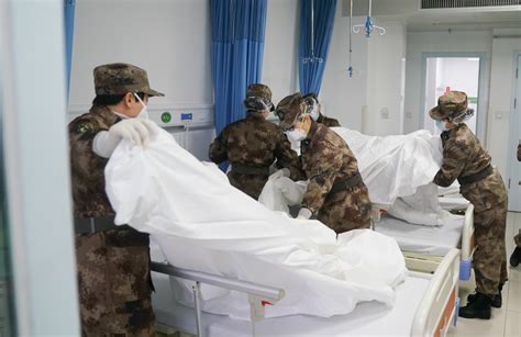 解放军医疗队开始收治病人 救治工作全面展开 - 中国军网