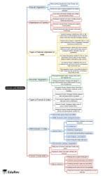 Forest and Wildlife Mind Map - Class 4 SST PDF Download