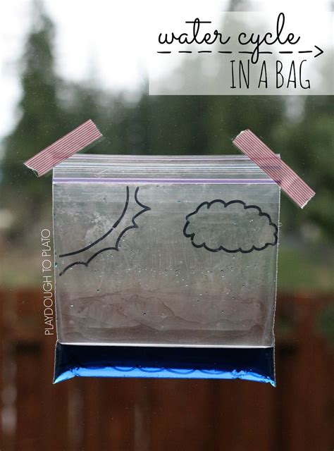 Image result for Water Cycle Science Experiment