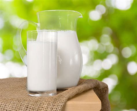Five Amazing Benefits Of Raw Milk | Herzindagi