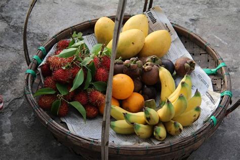 A Taste Of Sunshine: How Tropical Fruits Can Brighten Your Health ...