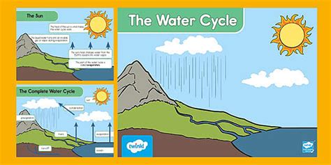 The Water Cycle PowerPoint - Elementary Science - Twinkl