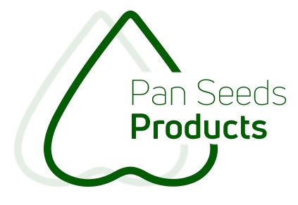 High-Quality Rice Seeds: Browse our Range at Panseeds