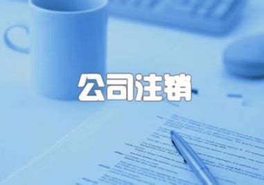 苏州400多项涉税费业务在线办理_荔枝网新闻
