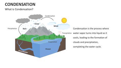 Condensation Process Explained 的图像结果