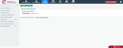 Upload Bulk Employees in Payroll Software | User Manual