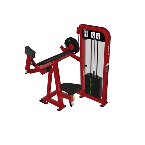 Image result for Bicep Curl Machine Guide