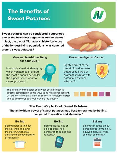 Sweet Potato Benefits In Marathi at Molly Taveras blog