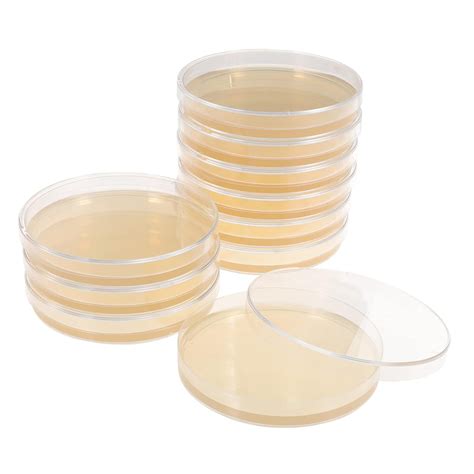 Agar Plates 10pcs Nutrient Agar Plate Tools Portable Tool Kit Petri ...