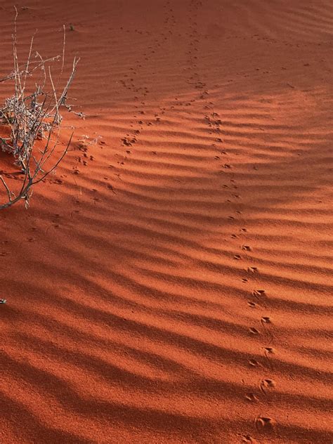 Spent today visiting Kings Canyon in the Northern Territory, Australia ...