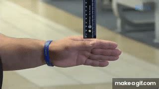 Image result for The Ruler Drop Test Video