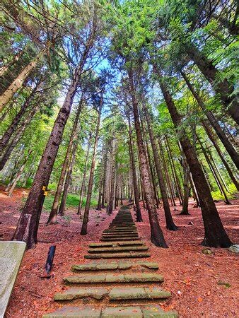 Travel Plus - Gabrovo | Tripadvisor