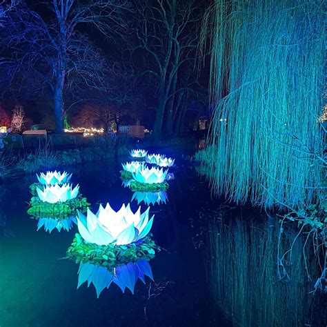 CHRISTMAS AT BUTE PARK (2026) All You Need to Know BEFORE You Go (with ...