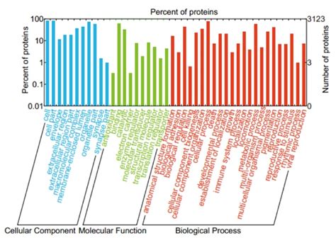 Go Annotation Tools 的图像结果