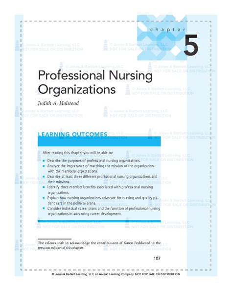 Professional Nursing Organizations: Insights from the American Nurses ...