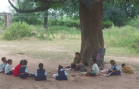 Madhya Pradesh: Primary School Students Attend Classes Under Tree In Satna