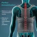 TYNOR Taylor's Brace Long, Grey, Universal Size, 1 Unit Back / Lumbar ...