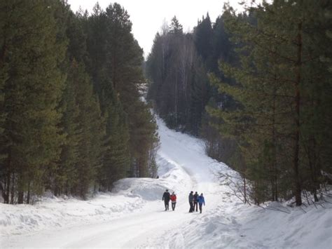 SHHELKANOVKA (Shchelkanovka) - Tourist Base Reviews & Photos - Tripadvisor