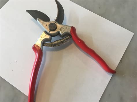 Upgrade Your Gardening with Quality Pruners! | Gardening in the Panhandle