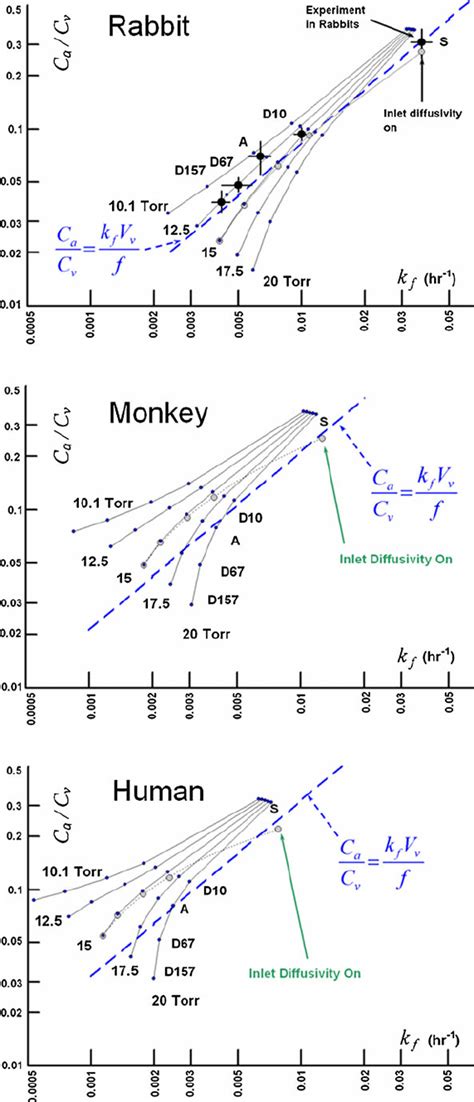 Image result for IVT Injection
