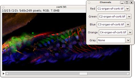 Image result for Cameo Jython Scripting