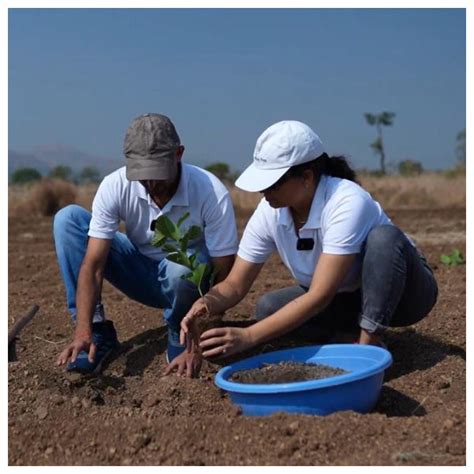 Reforesting with Purpose: IVCA’s Agroforestry Tree Plantation Program ...