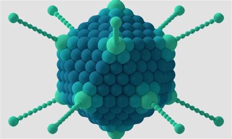 Viruses 的图像结果