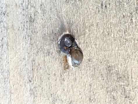 Image result for Sand Box Using Pallets