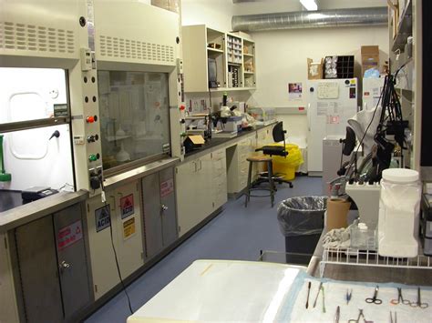 Image result for Lab Walkthrough