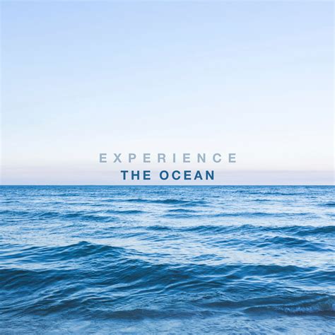 Moisturizing Shaving Soap with Shea Butter & Coconut Oil - Hajamat