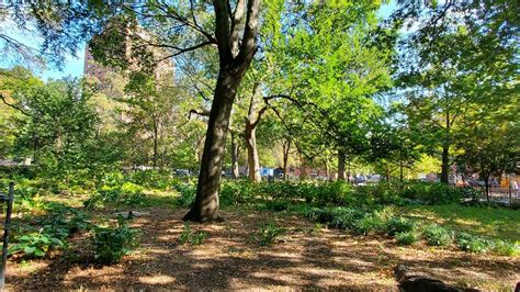 TOMPKINS SQUARE PARK Guide (2026) All You Need to Know BEFORE You Go ...