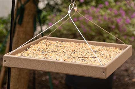Hanging Bird Feeders With Trays at Jimmie Mireles blog