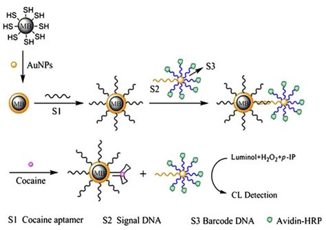 Aptamer-Modified Magnetic Beads in Biosensing