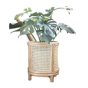 IRA Furniture 15 Rattan Planters That'll Elevate Your Plant Friends and ...
