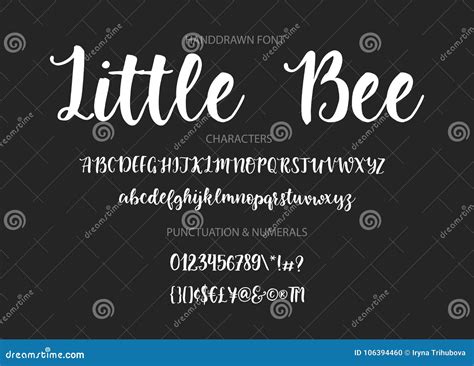 Modern Calligraphic Font. Brush Painted Letters Stock Vector ...