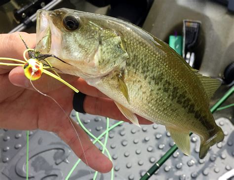 Long Run Park, Fly Fishing just inside the metro of Louisville, KY!
