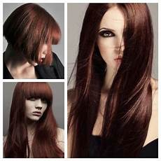 Cinnamon Brown Hair Color by Cinnamon Brown Hair Color Hair Colour For Green Cinnamon Brown Hair Color