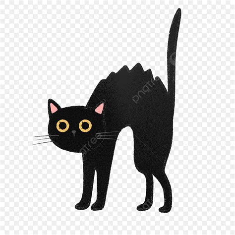 Cute Animated Black Cat