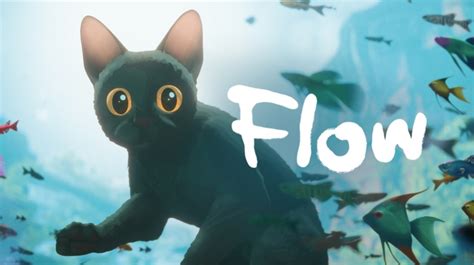 Image result for Flow Films