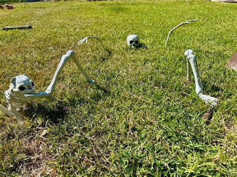 Groundbreaker Skeleton | At Home