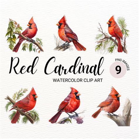 Red Cardinal PNG Red Cardinal Bird Cardinal Clipart - Etsy Canada