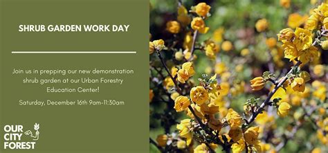 Education Center: Help Us Prepare Our New Shrub Garden, Urban Forestry ...