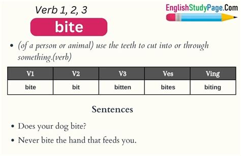 Bite Verb 1 2 3, Past and Past Participle Form Tense of Bite V1 V2 V3 ...